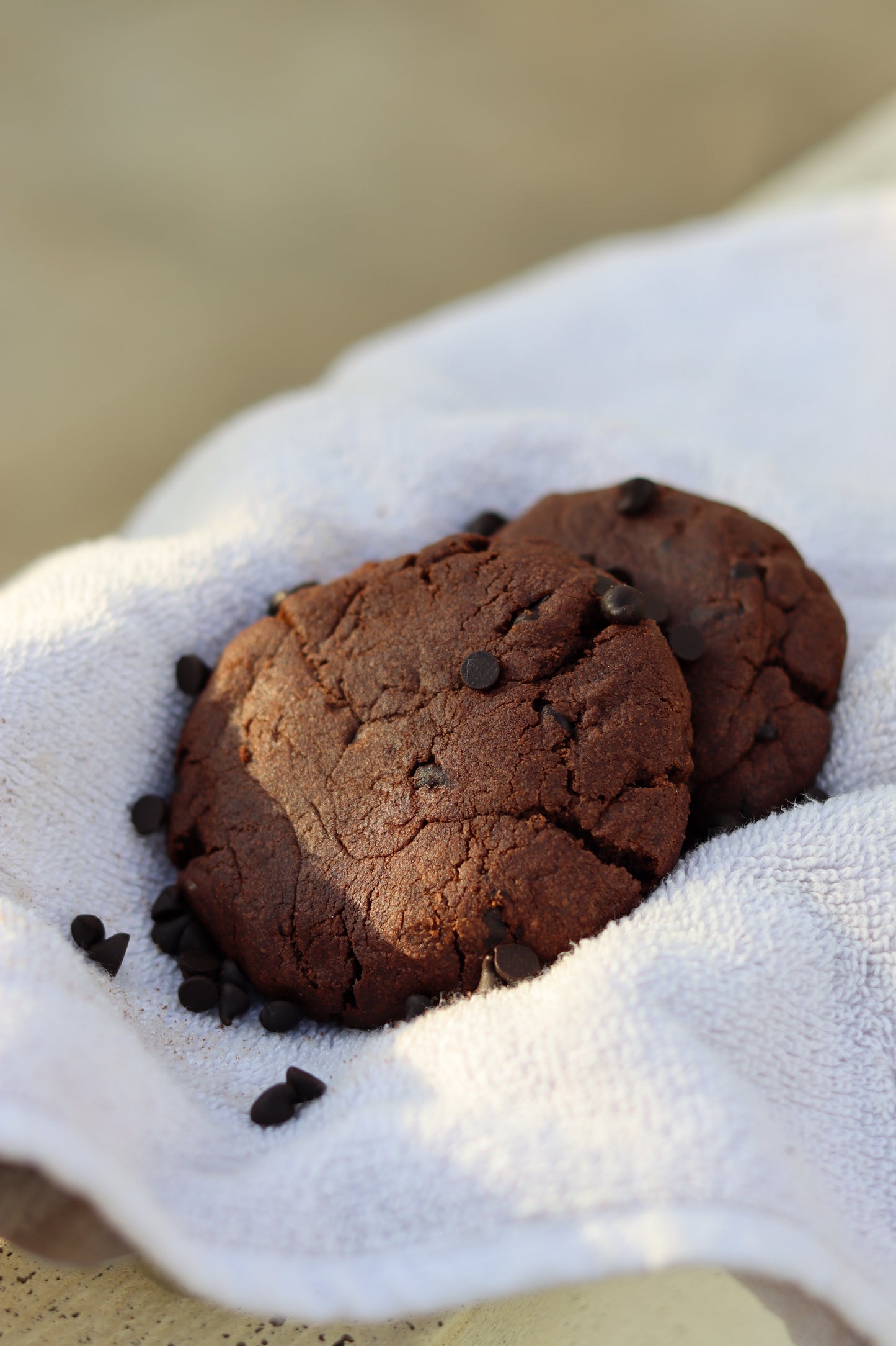 Double Chocolate Chip Cookie (Pack of 3)