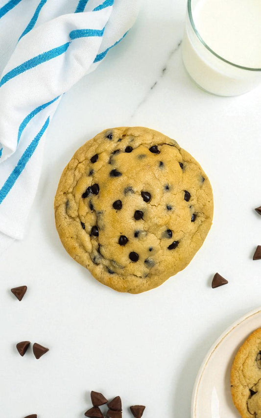 Chocolate Chip Cookie (Pack of 3)